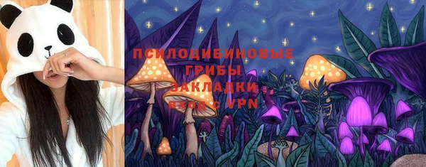 сатива Новокубанск
