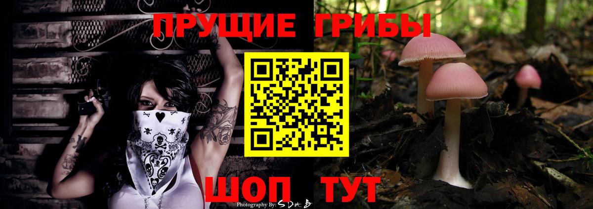 Галлюциногенные грибы Psilocybe Батайск